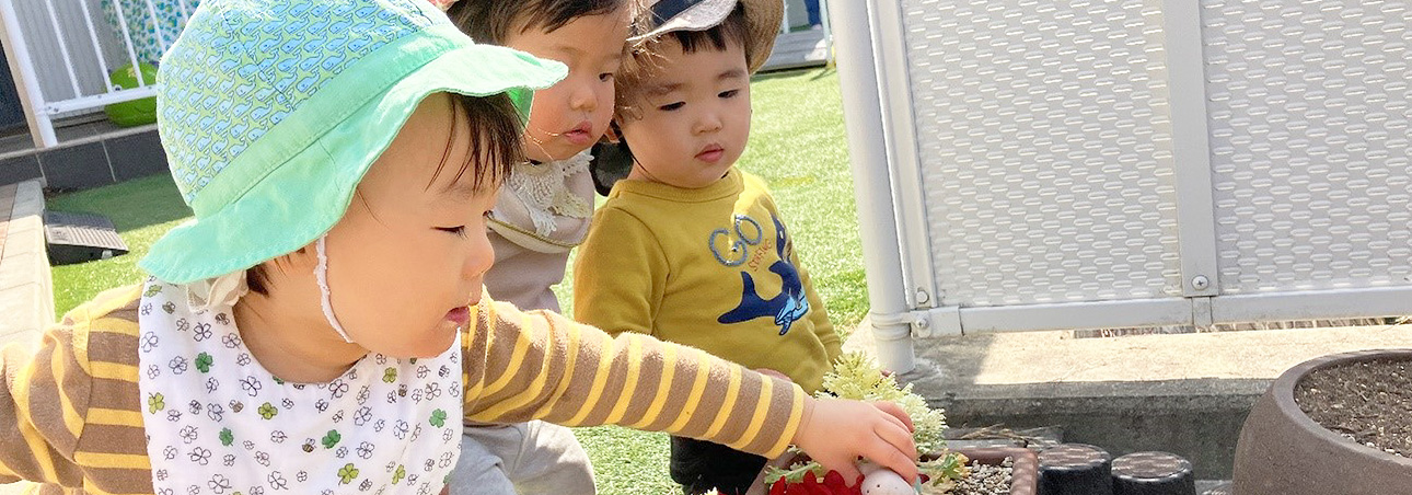 しらかば逗子乳児保育園〜基本情報メインイメージ